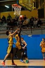 DSC09247.jpg