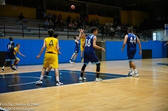 DSC07998.jpg
