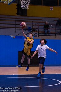 DSC09695.jpg